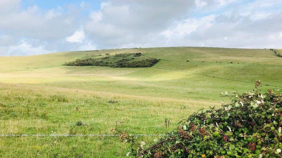 Open pasture access