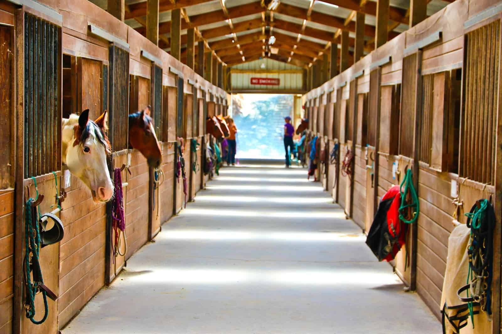 Stable boarding